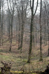 Killikus&reg; Fotographie